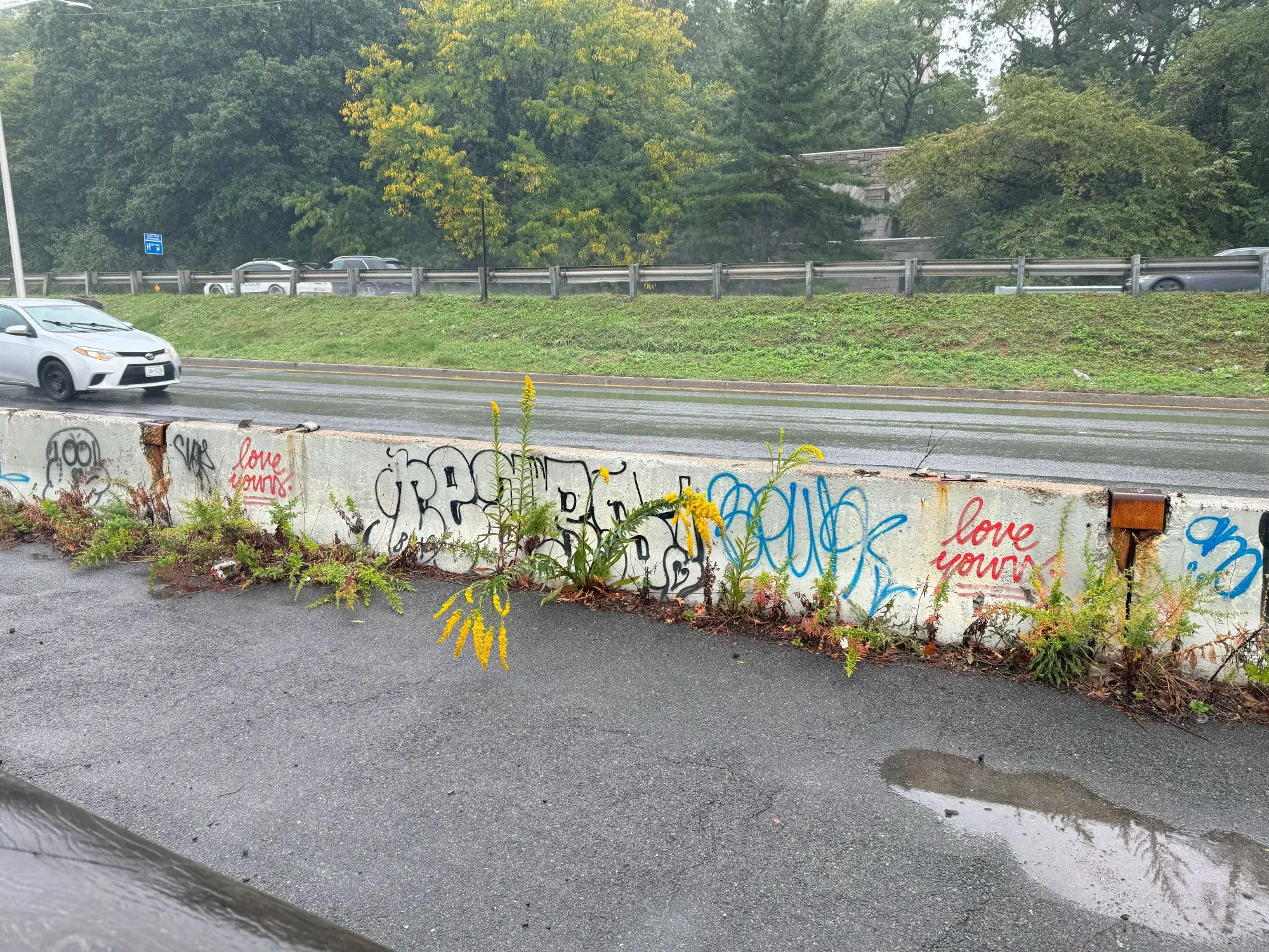 A barrier between a path and road with various graffiti on a rainy day