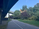 A bike path under an elevated road