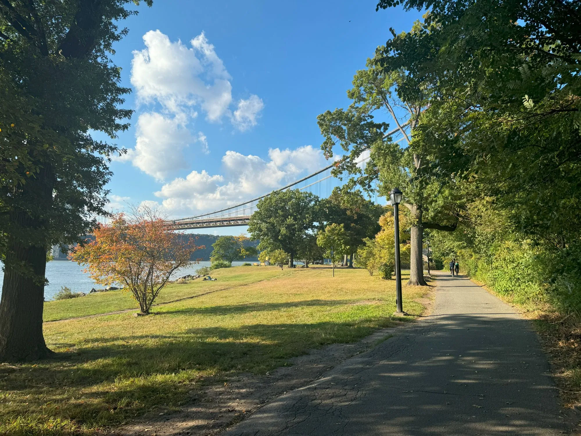 A walking path surrounded by trees with a bridge in the distance