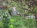 Buildings visible through trees and bushes on the other side of a grassy area