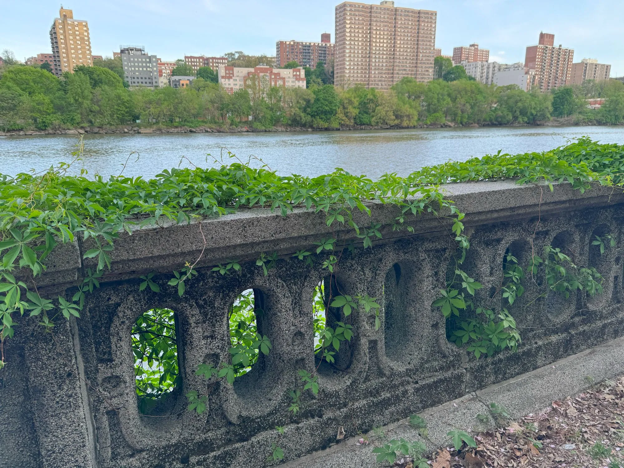 A stone fence covered in plants along a riverside walkway