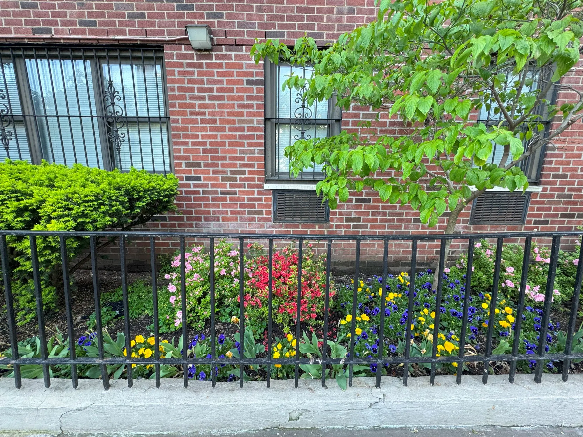 A colorful flower garden behind a fence alongside a brick building