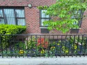 A colorful flower garden behind a fence alongside a brick building