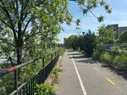 A walking path alongside an overgrown lower area next to the river