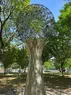 A large metal sculpture in a park
