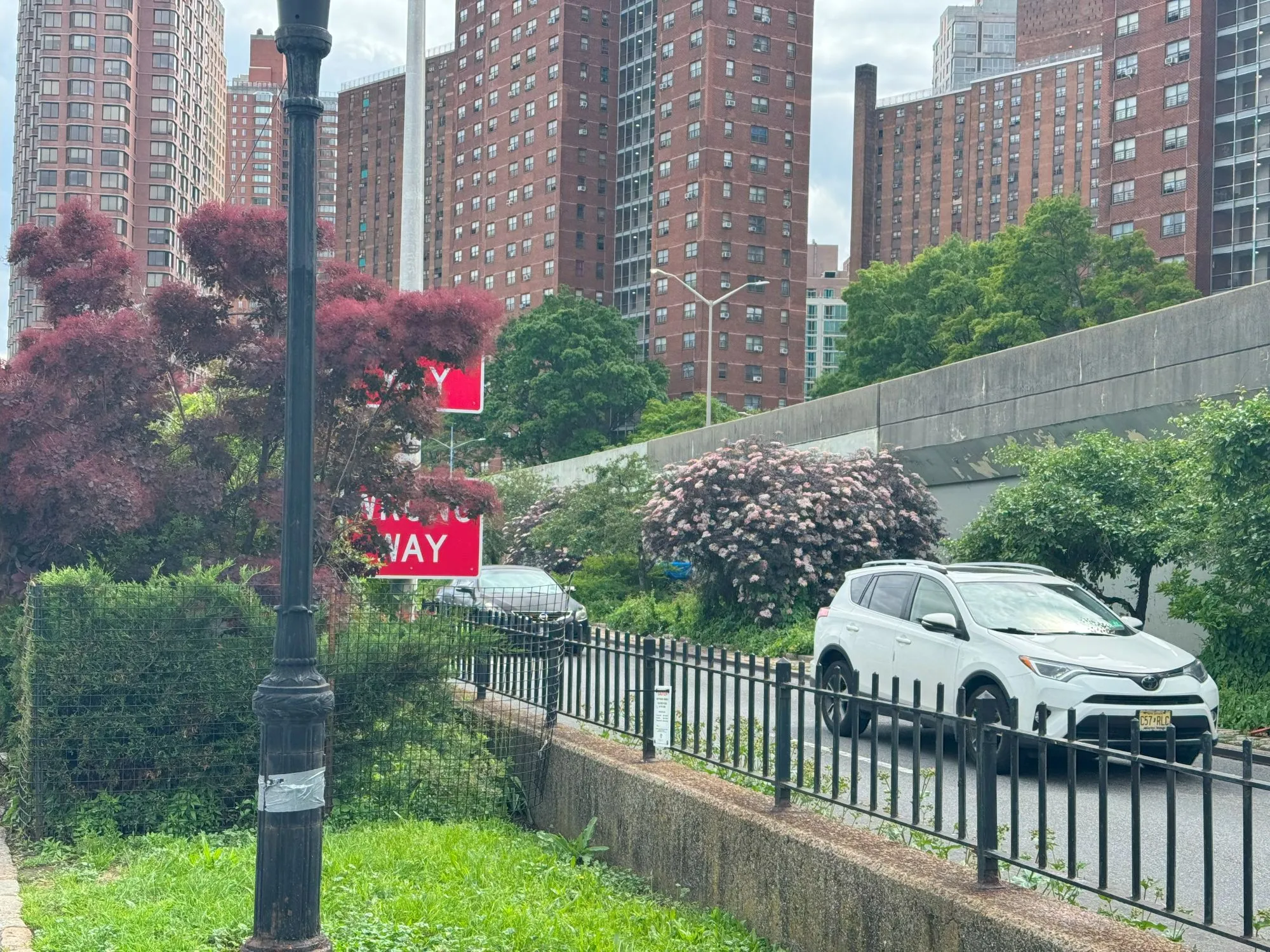 Trees and bushes on either side of a road with a red 'Wrong Way' sign visible behind a tree