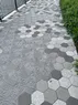 A pattern in the tiles of a walking path