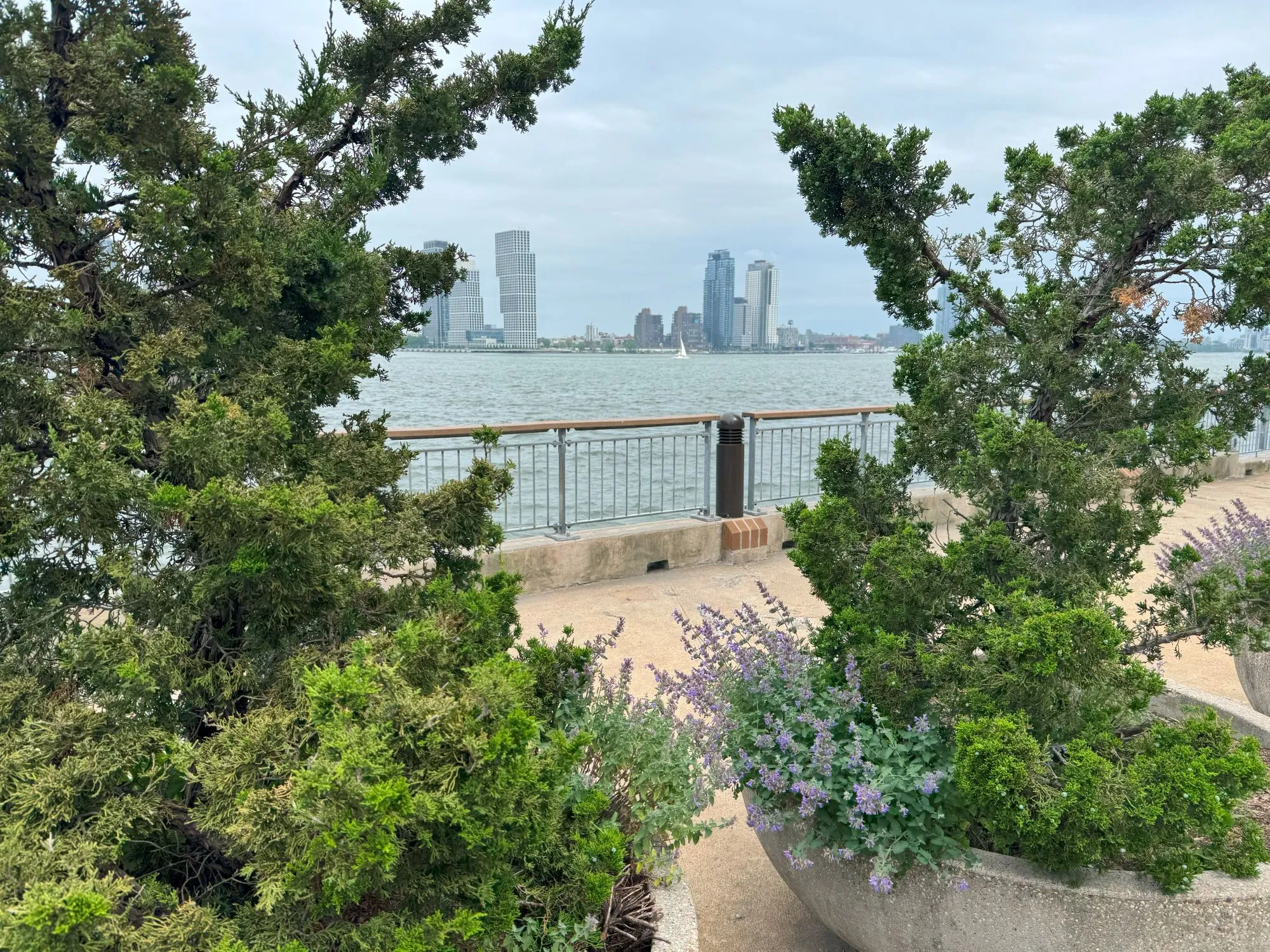 The river visible through trees and flowers in side-by-side planters